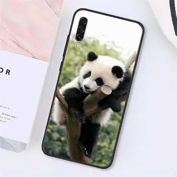 Panda, gudrs, funny dzīvnieku Tālrunis Case For Samsung galaxy S piezīme 10 7 8 9 20 30 31 40 50 51 70 71 21 s ultra plus