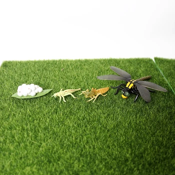 Simulācijas Kukaiņi Spāre Augšanas Cikla Roku Apgleznoti Dzīvnieku Modelis, Statuetes,4 Posmos Dzīves Cikla Spāre Izglītības Rotaļlietas